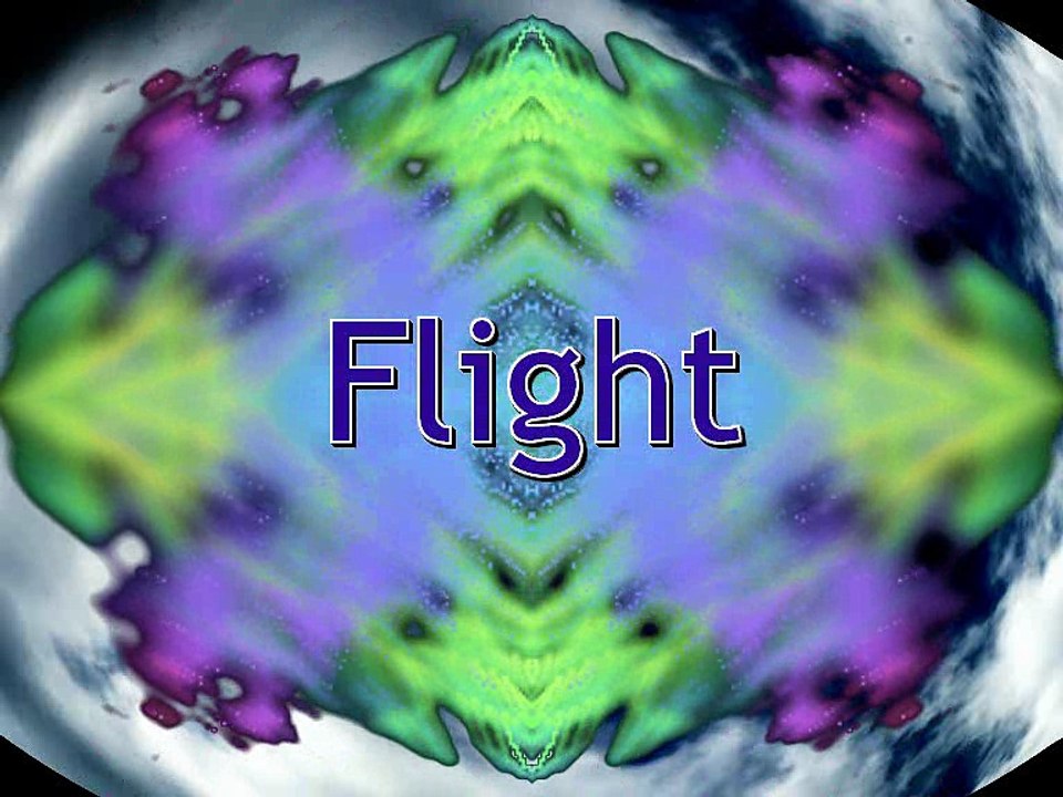 Flight