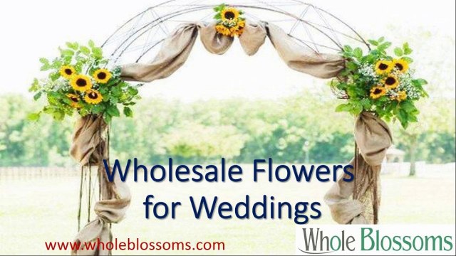 Wholesale Flowers for Weddings - wholeblossoms.com