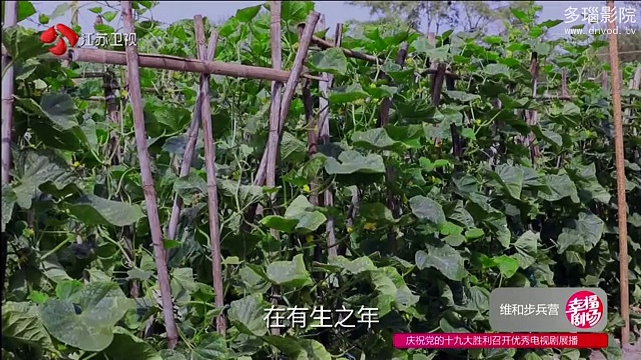 27 维和步兵营 第27集