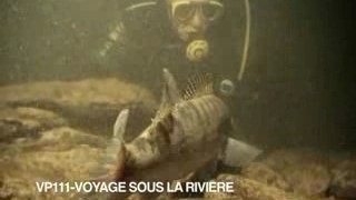 VOYAGE SOUS LA RIVIERE