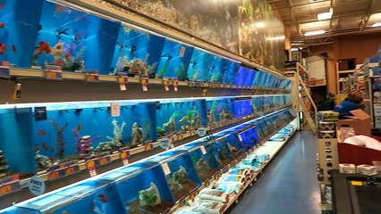 ВЛОГ: ДЕНЬ ОБЖОРСТВА