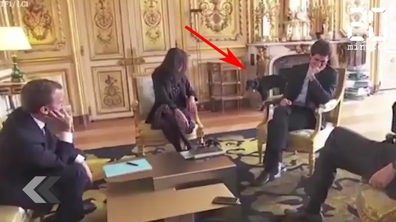 Le chien des Macron se lâche à l'Élysée - Le Rewind du mardi 24 octobre 2017