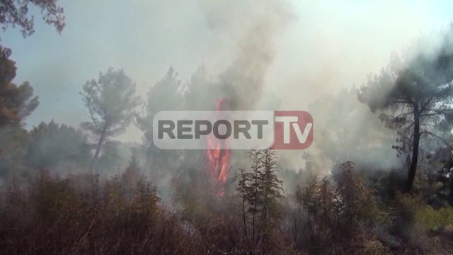 Report TV - 10 vatra zjarri, përkeqësohet situata probleme në Shkodër dhe Korçë