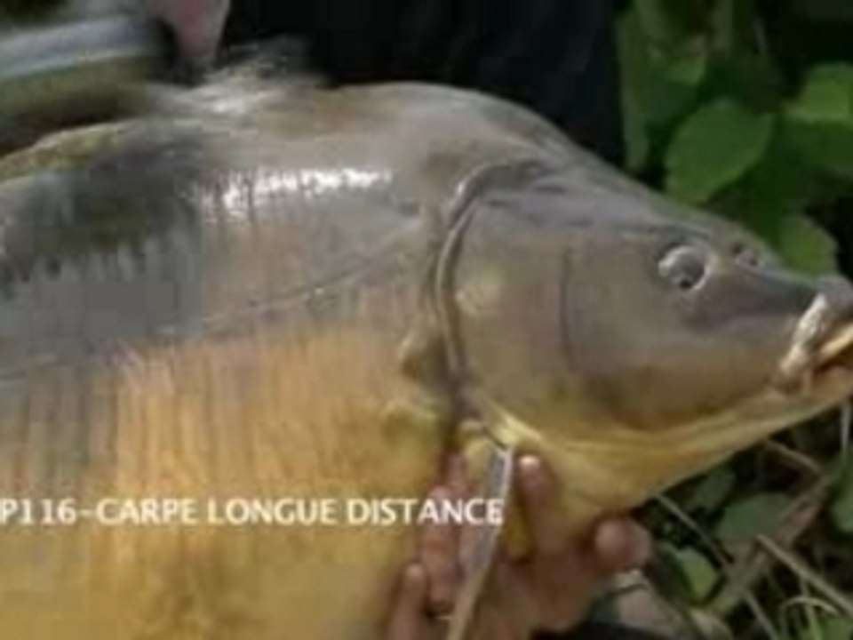 CARPE LONGUE DISTANCE