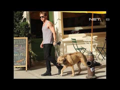 Entertainment News-Selebriti Hollywood yang Peduli dengan Satwa