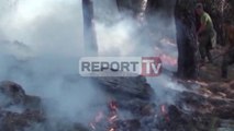 Report TV - Vijojnë zjarret në Dibër, Mirditë dhe Voskopojë/ Situata e fundit