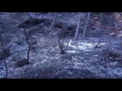 Situata - Brenda 24 orëve janë regjistruar 10 vatra zjarri, Problem Korça e Fieri