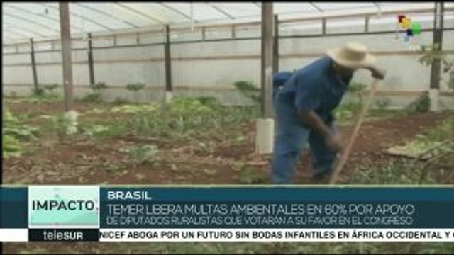 Brasil: Temer libera multas ambientales por apoyo de dip. ruralistas