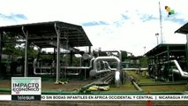 Ecuador: actividades hidrocarburíferas con bajo impacto ambiental