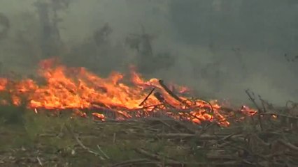 Pukë, 55 vjeçari vritet nga kablloja e tensionit të lartë - Top Channel Albania - News - Lajme