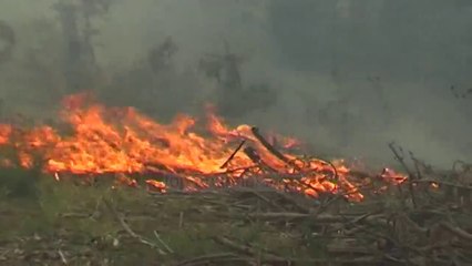 Скачать видео: Pukë, 55 vjeçari vritet nga kablloja e tensionit të lartë - Top Channel Albania - News - Lajme