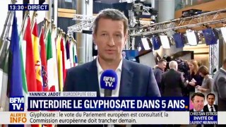 PE: interdiction du glyphosate d'ici 5 ans, interview de Yannick Jadot et reportage sur une agriculture sans glyphosate