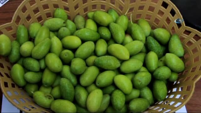 Canan Karatay: Zeytinyağı Hastalıkları Önlüyor