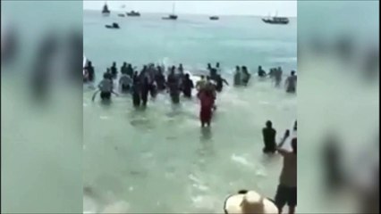 Скачать видео: Tout ces touristes se jettent à l'eau pour sauver une baleine échouée sur une plage... Belle preuve de solidarité