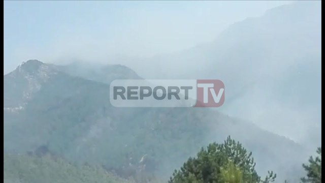 Report TV - Tusha: Zjarret të qëllimshme, situata në kontroll