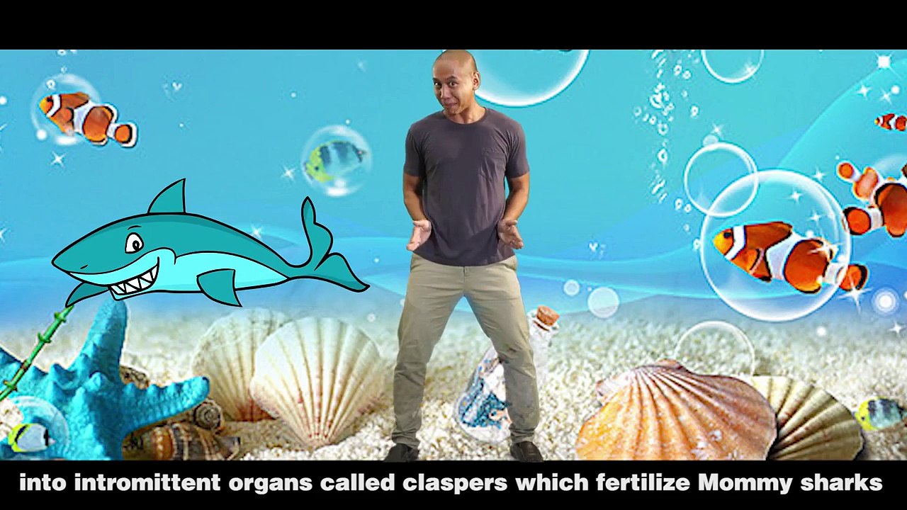 BABY SHARK DANCE - EDUCATIONAL VERSION! (PARODY)