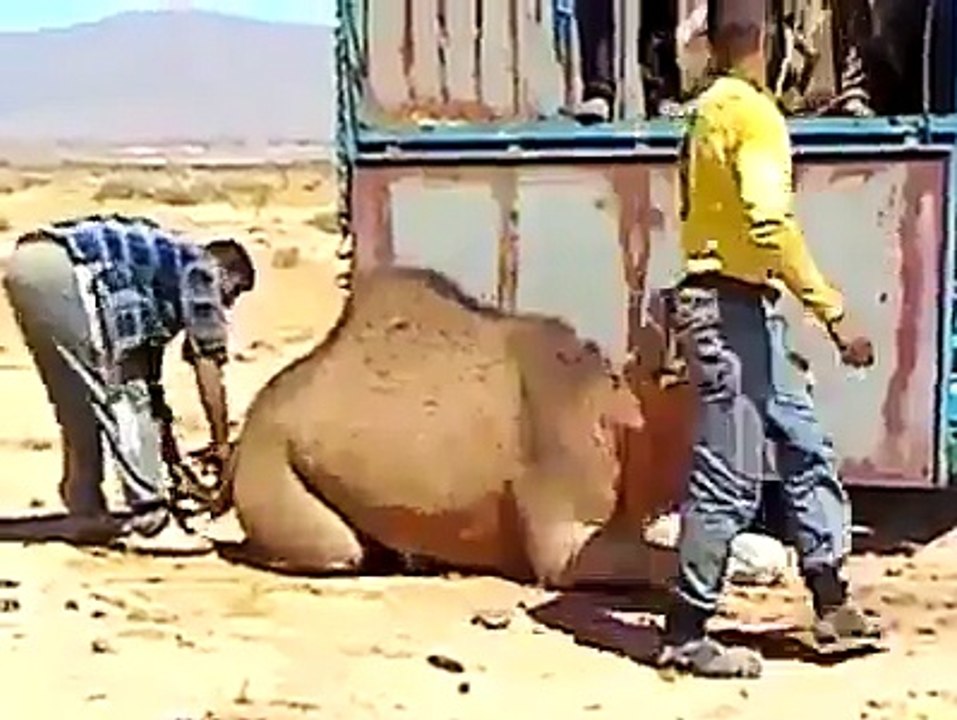 it should be added in Guinness book of world record