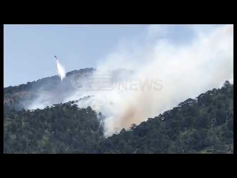 Ora News - Betejë me zjarret, VIVA ndërhyn për shuar flakët në Vaun e Dejës