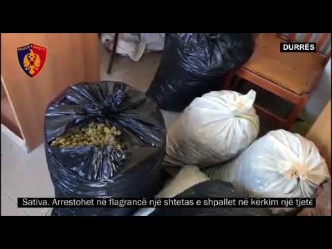 Fshehën 89 kg kanabis në kontenier, pranga një personi dhe një tjetër shpallet në kërkim