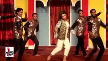 NARGIS S*XY DANCE - 2017 PAKISTANI MUJRA DANCE