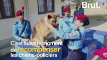 Les chiens-policiers du Népal récompensés pendant la fête du Tihar