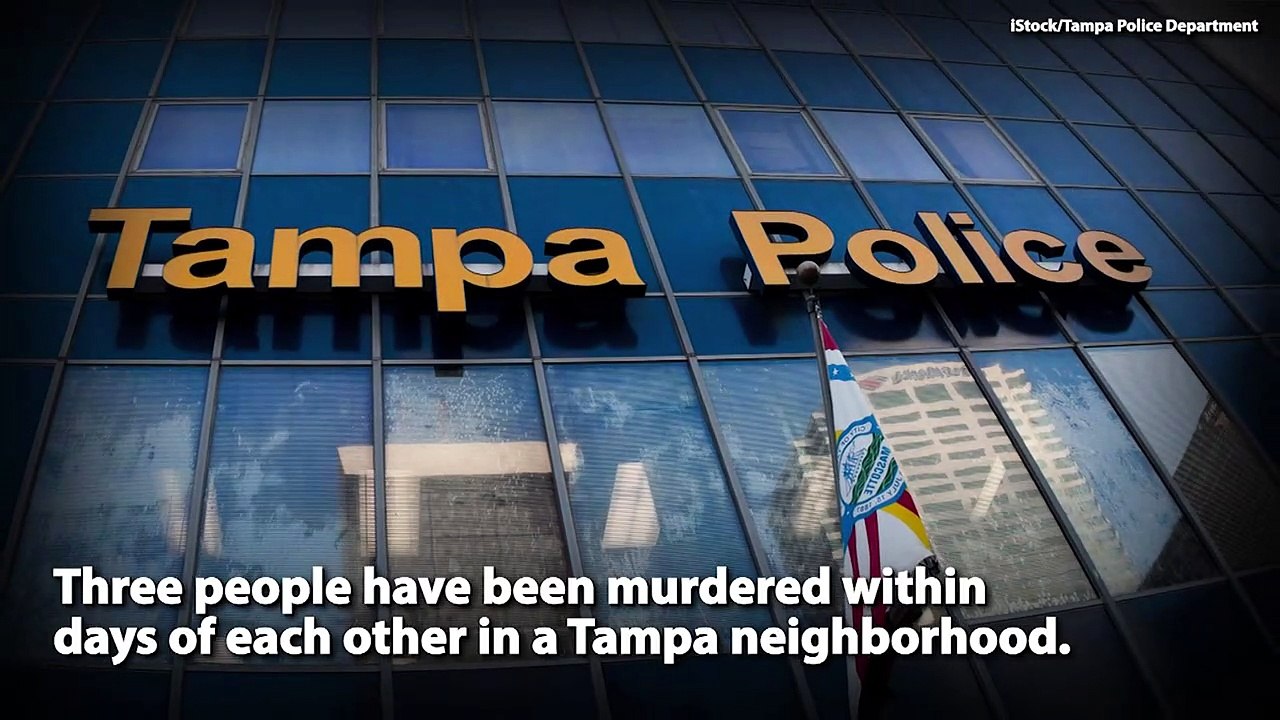 Possible serial killer on loose in Tampa Florida | Rare News