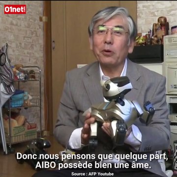 Sony va ressusciter son chien robot Aibo en novembre