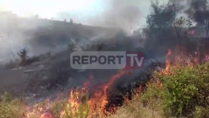 Report TV - Fier, digjet për herë të dytë brenda javës “Qafa e Lalarit”