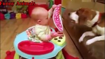 Beagle Loves Baby - Best Baby and Beagle Dogs Playing Video Compilation - Dogs and Baby Videos