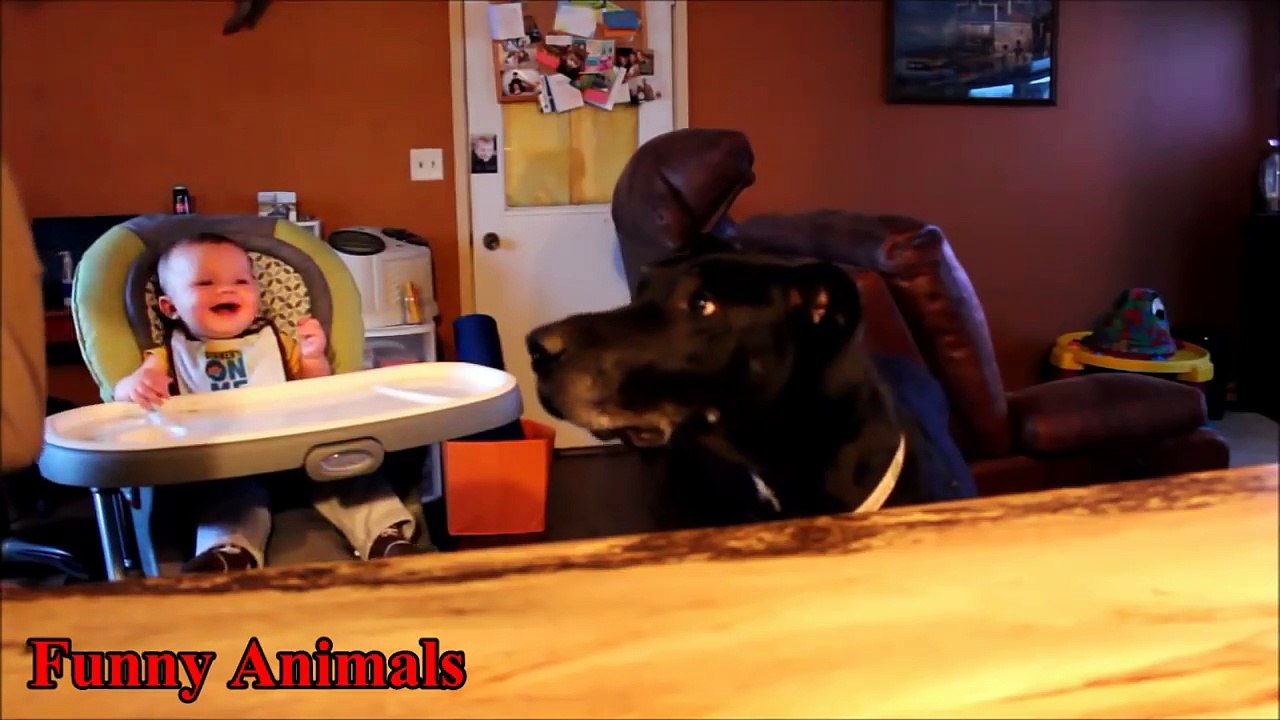 Big Dogs Playing with Babies Compilation - Great Dane Dogs Playing and Protecting Baby