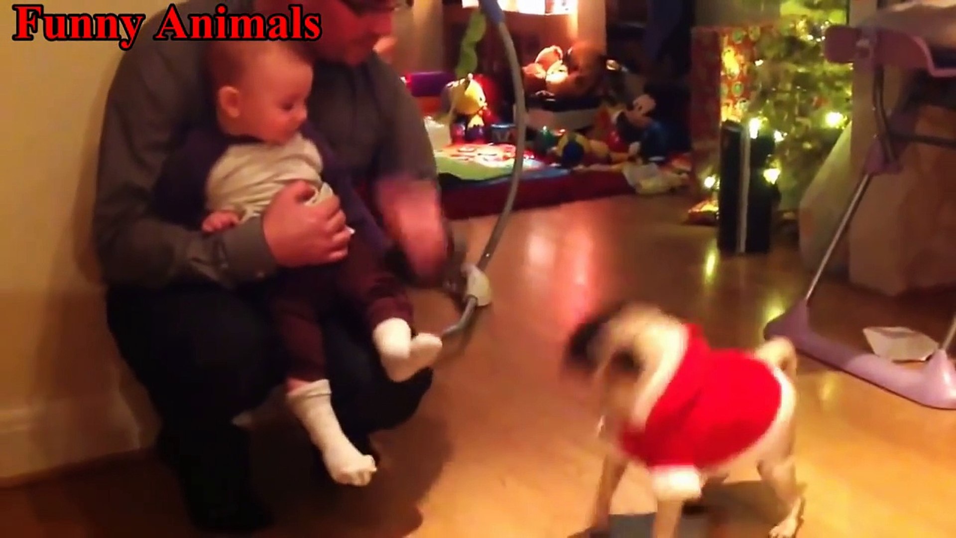 Cute Baby Laughing At Pug Dogs Will Make You Happy - Funny Dogs and Baby