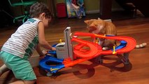 Brincando Pista Motorizada Hot Wheels, Carros Gatos Paulinho Toquinho Brinquedos Infantil