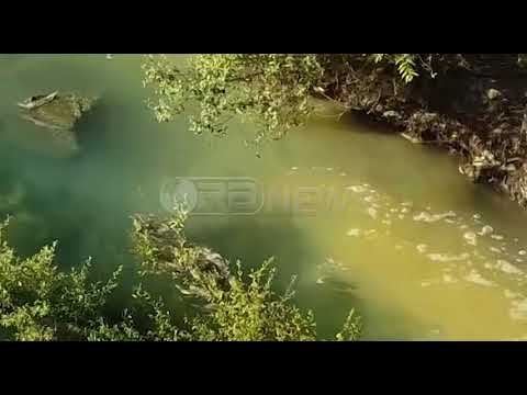 Ora News - Ujërat e zeza “i marrin frymën” Sarandës, po derdhen në lumin Bistricë
