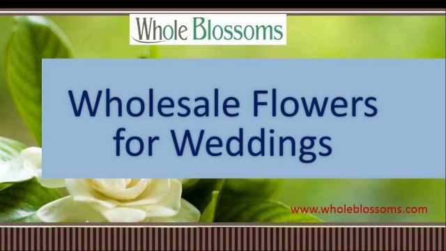 Wholesale Flowers for Weddings - wholeblossoms.com