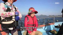 한국기행 - Korea travel_가을바다 신 자산어보 3부 대어 사냥꾼들의 한판승_#002