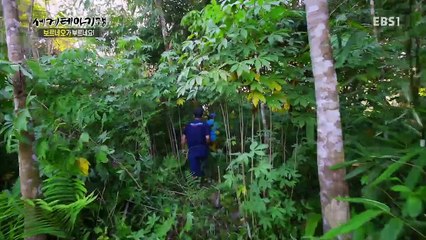 세계테마기행 - 보르네오가 부르네요! 2부- 미지의 정글, 록사도_#001