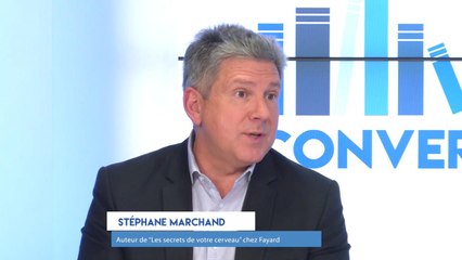 Conversation avec Stéphane Marchand sur le cerveau