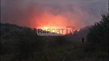 Report TV - Gjirokastër, zjarr në Drenovë, digjen 50 ha me ullinj