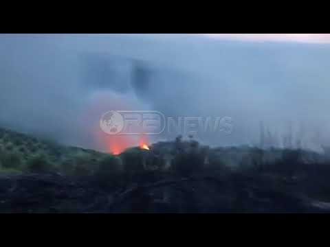 Ora News – Tre vatra zjarri gjatë ditës së sotme në Fier dhe Mallakastër