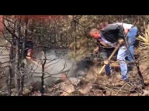 Ora News - Edhe 10 vatra zjarri në të gjithë vendin