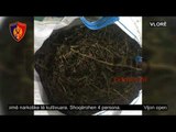 Policia në operacion kundër drogës në Vlorë