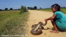 Terrifying! Two Brave Sisters Catch Big Snake on the Road while going to Find Their Cows