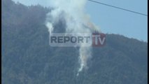 Report TV - Zjarret në Klos, drejtori i Pyjeve: Kërkojmë ndihmë nga ajri