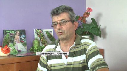 Dëmet e zjarreve, shkatërrohet ekosistemi në Gjirokastër - Top Channel Albania - News - Lajme