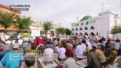 세계테마기행 - 보르네오가 부르네요! 1부- 칼리만탄, 그 낙원의 동쪽_#001