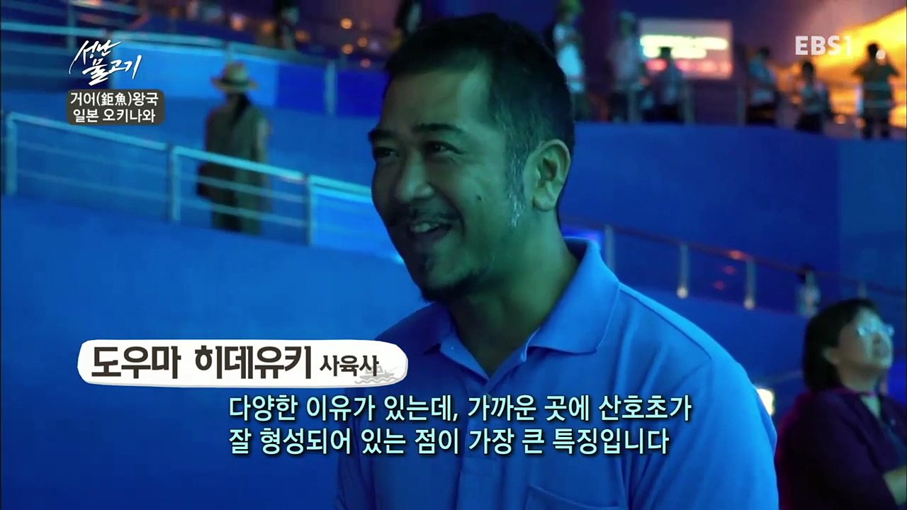 성난 물고기 - 거어(鉅魚) 왕국, 일본 오키나와_#001