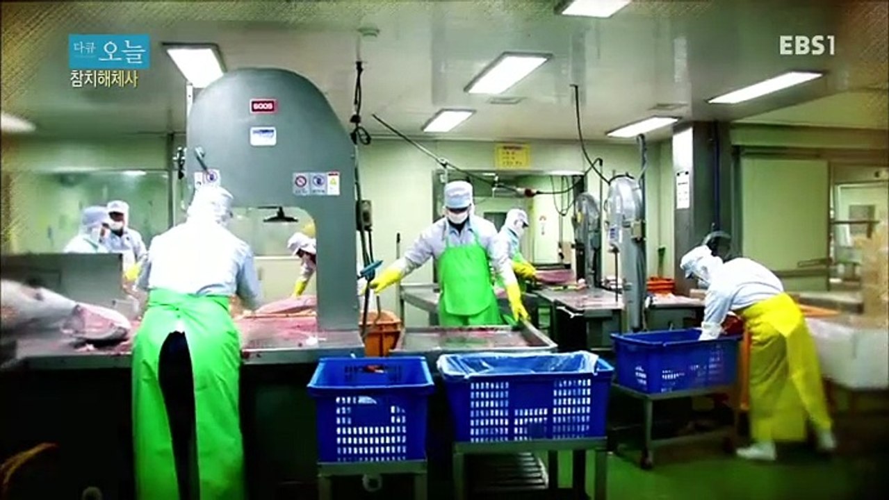 다큐 오늘 - 참치해체사_#001