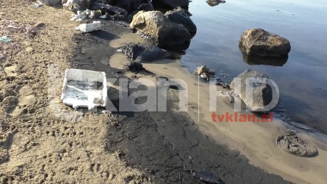 Ndotet bregdeti i Vlorës
