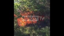 Report TV - Skraparë, zjarr në fshatin Siragen, digjen 100 rrënjë e ullinj