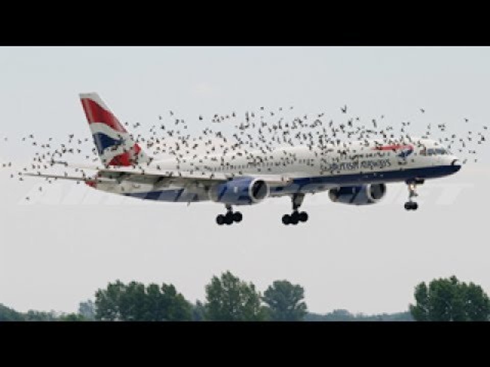 If it were not FILMED, no one would BELIEVE IT - Videos you will not believe